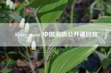 招远中国消防公开课回放