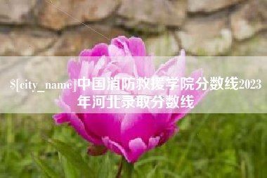 招远中国消防救援学院分数线2023年河北录取分数线