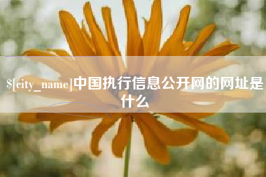 招远中国执行信息公开网的网址是什么