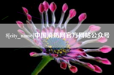 招远中国消防网官方网站公众号
