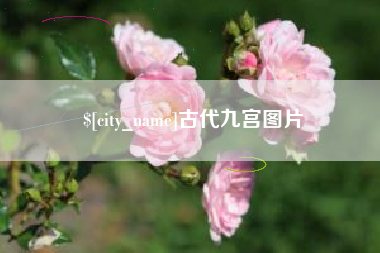 招远古代九宫图片