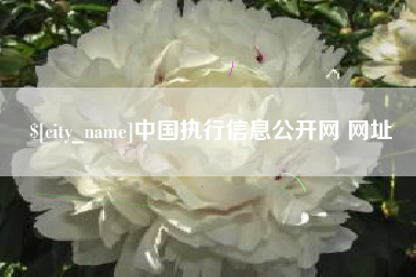 招远中国执行信息公开网 网址