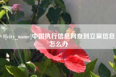招远中国执行信息网查到立案信息怎么办