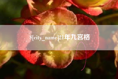 招远21年九宫格