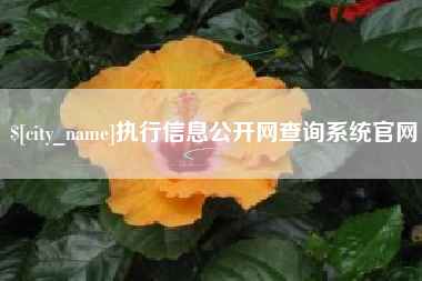 招远执行信息公开网查询系统官网
