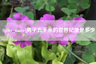 招远男子五千米的世界纪录是多少