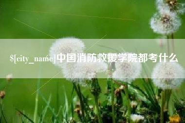 招远中国消防救援学院都考什么