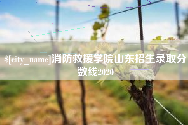 招远消防救援学院山东招生录取分数线2020