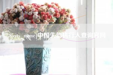 招远中国失信执行人查询官网