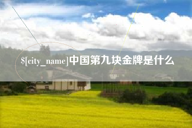 招远中国第九块金牌是什么