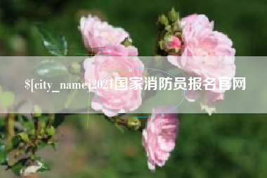 招远2021国家消防员报名官网