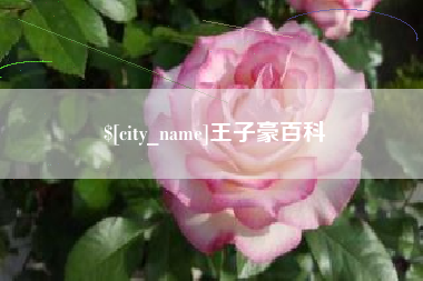 招远王子豪百科