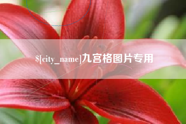 招远九宫格图片专用