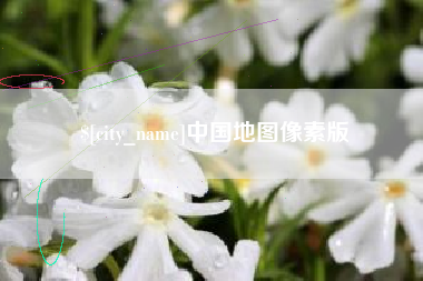 招远中国地图像素版