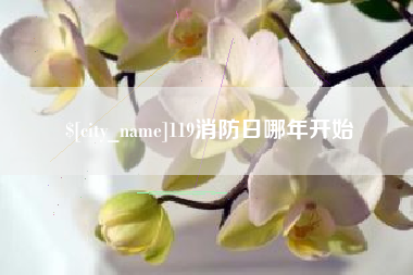 招远119消防日哪年开始