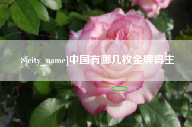 招远中国有哪几枚金牌得主