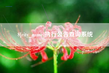 招远执行公告查询系统