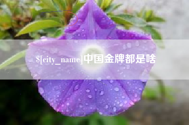 招远中国金牌都是啥