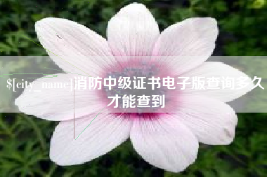 招远消防中级证书电子版查询多久才能查到