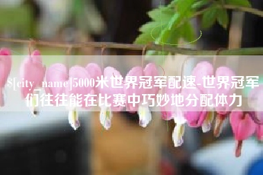 招远5000米世界冠军配速-世界冠军们往往能在比赛中巧妙地分配体力