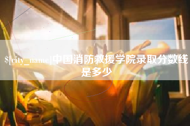 招远中国消防救援学院录取分数线是多少