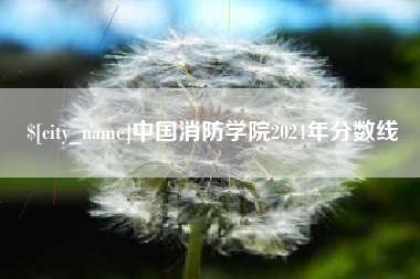 招远中国消防学院2024年分数线