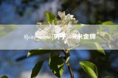招远男子5000米金牌