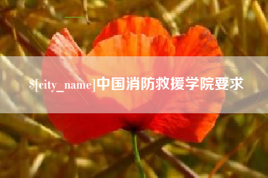 招远中国消防救援学院要求