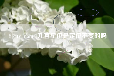 招远九宫星位是定位不变的吗