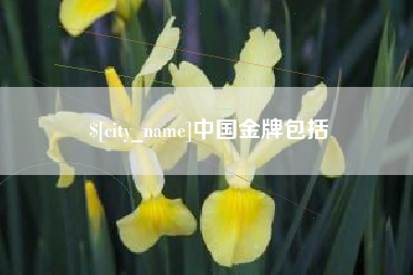 招远中国金牌包括