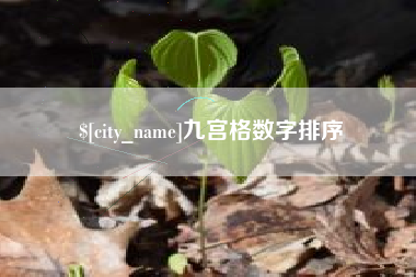 招远九宫格数字排序