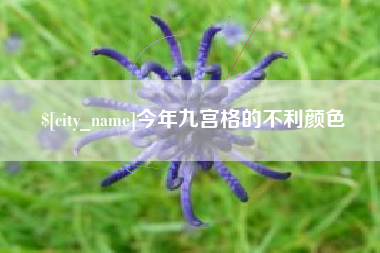 招远今年九宫格的不利颜色