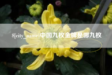招远中国九枚金牌是哪九枚
