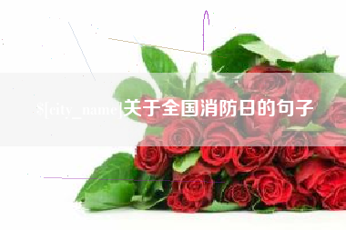 招远关于全国消防日的句子