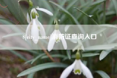 招远消防证查询入口