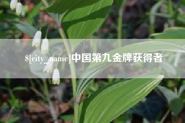 招远中国第九金牌获得者