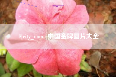 招远中国金牌图片大全