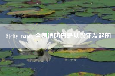 招远全国消防日是从哪年发起的