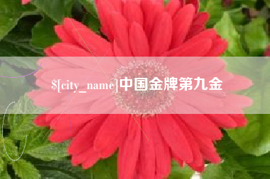招远中国金牌第九金