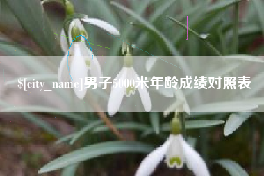 招远男子5000米年龄成绩对照表