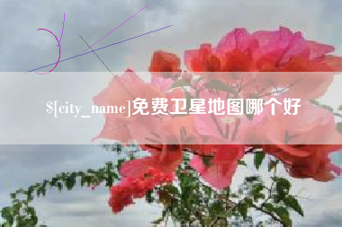 招远免费卫星地图哪个好