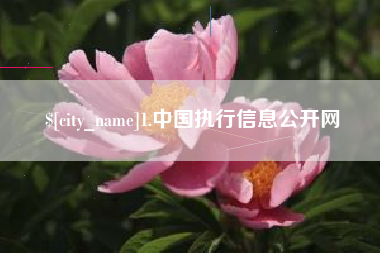 招远1.中国执行信息公开网