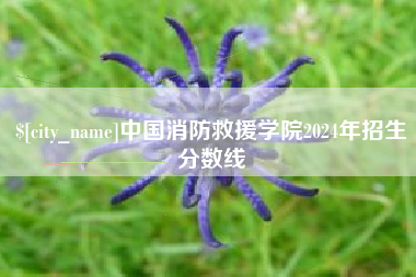 招远中国消防救援学院2024年招生分数线