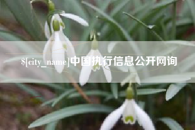 招远中国执行信息公开网询