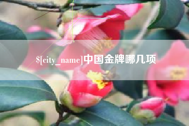 招远中国金牌哪几项