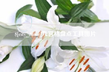 招远九宫格盘点工具图片