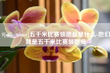 招远五千米比赛领跑员是什么-他们就是五千米比赛领跑员
