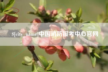 招远中国消防报考中心官网