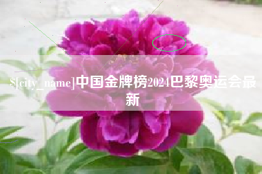 招远中国金牌榜2024巴黎奥运会最新