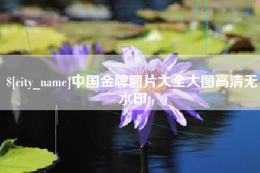 招远中国金牌图片大全大图高清无水印